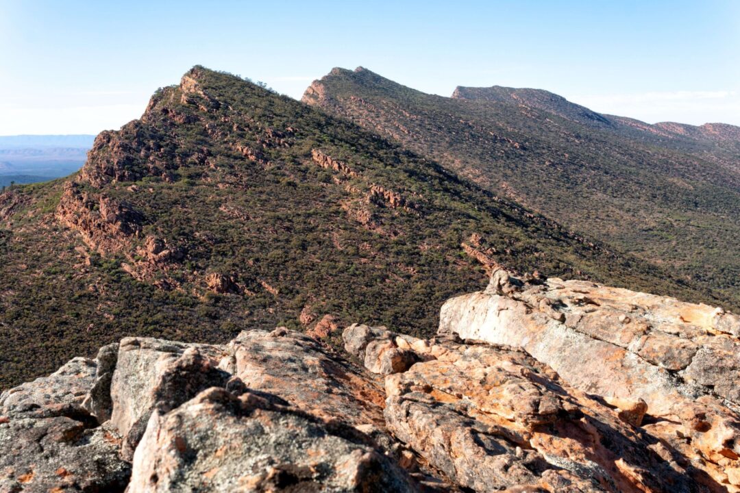 Uitzicht op de Ikara Flinders Ranges vanaf de top van Mount Ohlsson Bagge.